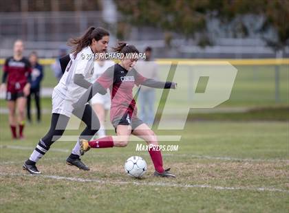 Thumbnail 2 in Concord vs. Timberlane (NHIAA D1 First Round) photogallery.