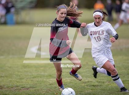 Thumbnail 2 in Concord vs. Timberlane (NHIAA D1 First Round) photogallery.