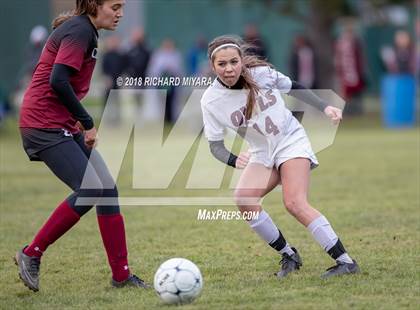 Thumbnail 1 in Concord vs. Timberlane (NHIAA D1 First Round) photogallery.