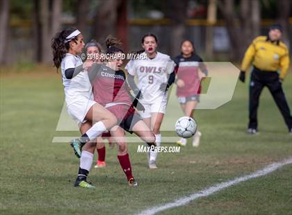Thumbnail 3 in Concord vs. Timberlane (NHIAA D1 First Round) photogallery.