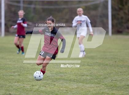 Thumbnail 2 in Concord vs. Timberlane (NHIAA D1 First Round) photogallery.