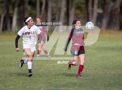 Thumbnail 1 in Concord vs. Timberlane (NHIAA D1 First Round) photogallery.
