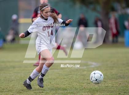 Thumbnail 1 in Concord vs. Timberlane (NHIAA D1 First Round) photogallery.