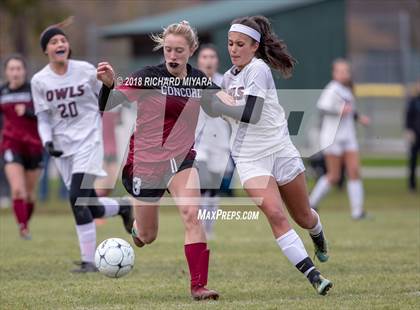 Thumbnail 2 in Concord vs. Timberlane (NHIAA D1 First Round) photogallery.