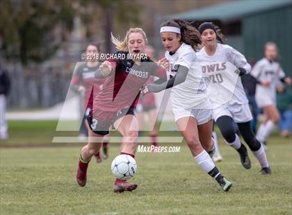 Thumbnail 1 in Concord vs. Timberlane (NHIAA D1 First Round) photogallery.