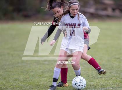 Thumbnail 3 in Concord vs. Timberlane (NHIAA D1 First Round) photogallery.