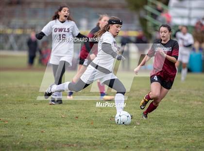 Thumbnail 2 in Concord vs. Timberlane (NHIAA D1 First Round) photogallery.
