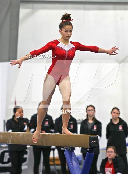 Thumbnail 1 in ECC Gymnastics Championship photogallery.