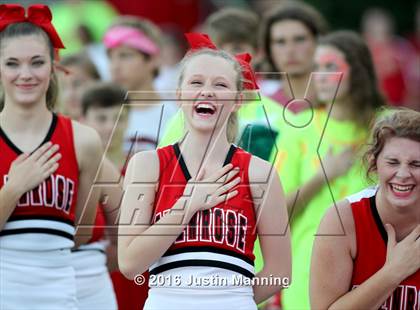 Thumbnail 2 in Glen Rose @ Harmony Grove photogallery.