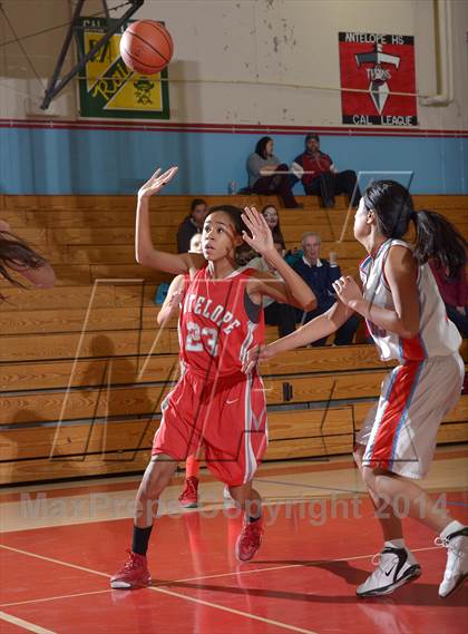 Thumbnail 1 in Antelope @ Mira Loma photogallery.