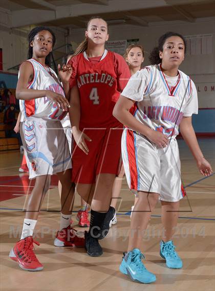 Thumbnail 3 in Antelope @ Mira Loma photogallery.