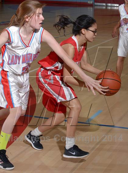 Thumbnail 1 in Antelope @ Mira Loma photogallery.