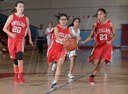 Thumbnail 1 in Antelope @ Mira Loma photogallery.