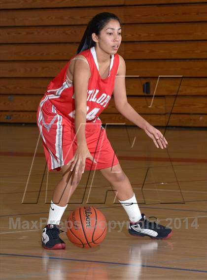 Thumbnail 2 in Antelope @ Mira Loma photogallery.
