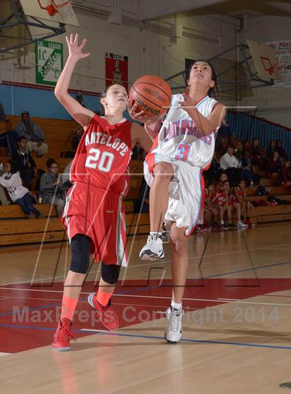 Thumbnail 2 in Antelope @ Mira Loma photogallery.