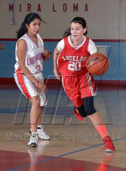 Thumbnail 1 in Antelope @ Mira Loma photogallery.