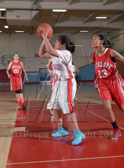 Thumbnail 3 in Antelope @ Mira Loma photogallery.