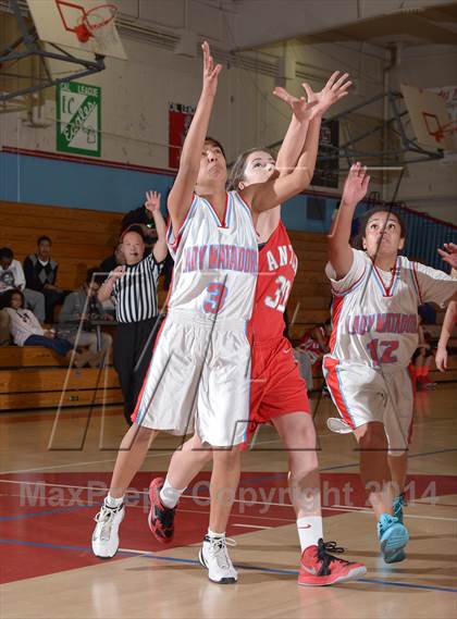 Thumbnail 3 in Antelope @ Mira Loma photogallery.