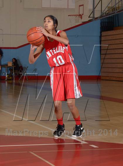 Thumbnail 3 in Antelope @ Mira Loma photogallery.