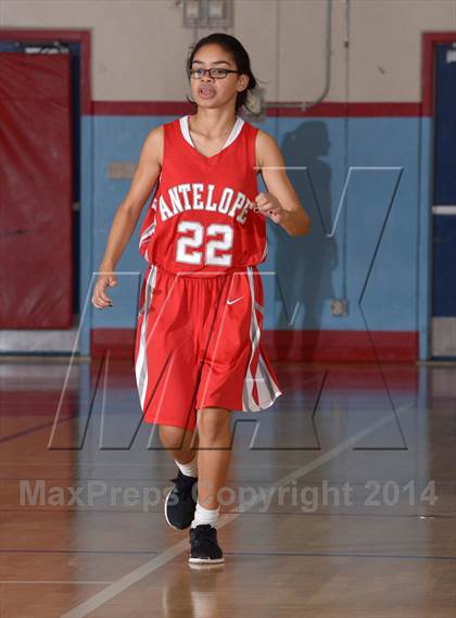 Thumbnail 3 in Antelope @ Mira Loma photogallery.