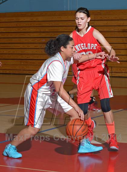 Thumbnail 3 in Antelope @ Mira Loma photogallery.
