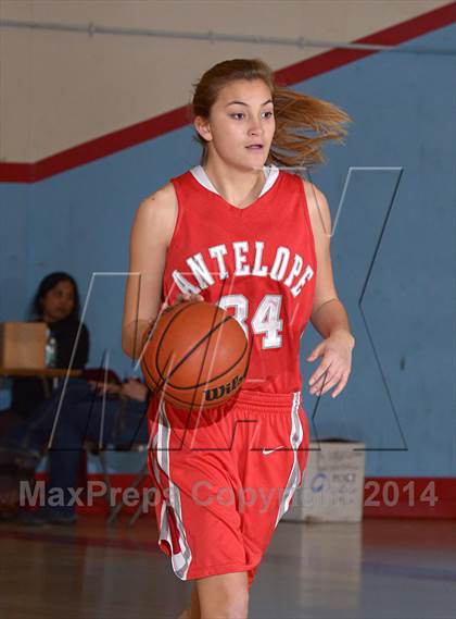 Thumbnail 2 in Antelope @ Mira Loma photogallery.