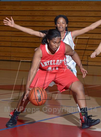 Thumbnail 3 in Antelope @ Mira Loma photogallery.