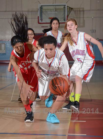 Thumbnail 3 in Antelope @ Mira Loma photogallery.