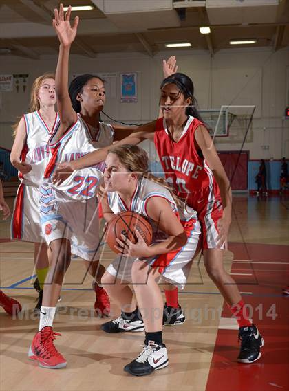 Thumbnail 3 in Antelope @ Mira Loma photogallery.