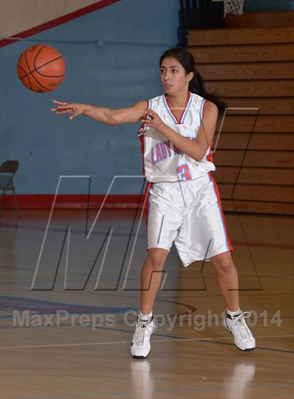 Thumbnail 1 in Antelope @ Mira Loma photogallery.