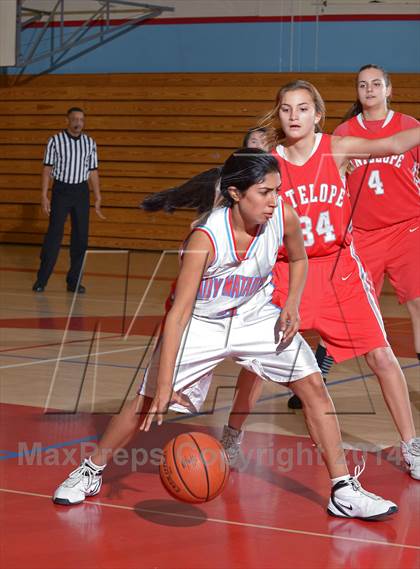 Thumbnail 1 in Antelope @ Mira Loma photogallery.