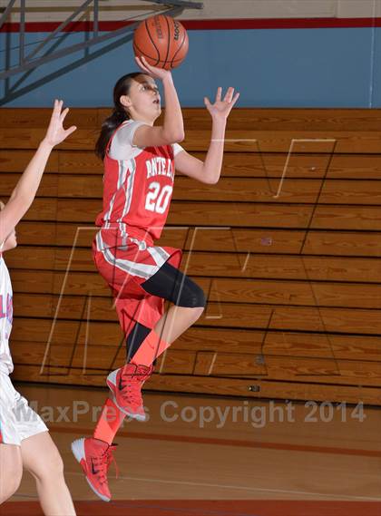 Thumbnail 1 in Antelope @ Mira Loma photogallery.