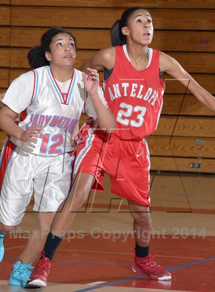 Thumbnail 2 in Antelope @ Mira Loma photogallery.