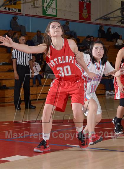 Thumbnail 3 in Antelope @ Mira Loma photogallery.