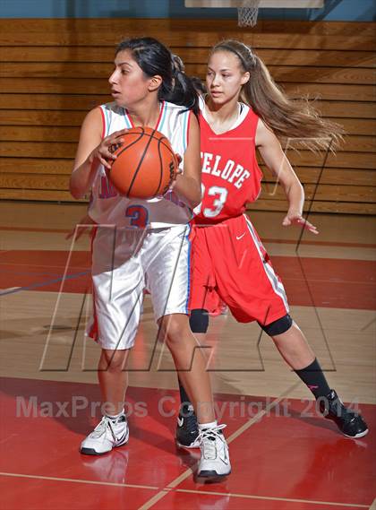 Thumbnail 2 in Antelope @ Mira Loma photogallery.