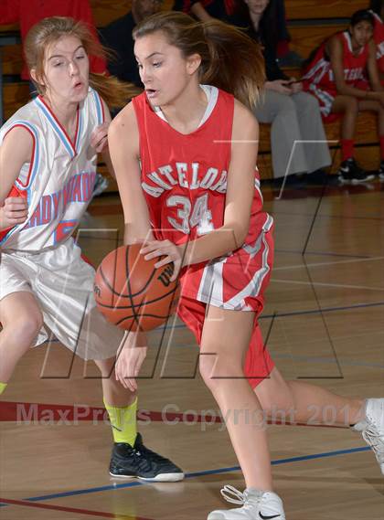 Thumbnail 2 in Antelope @ Mira Loma photogallery.