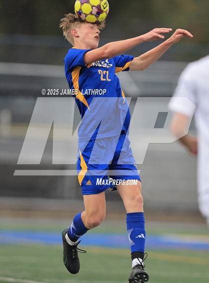 Thumbnail 3 in Irondequoit @ Webster Thomas photogallery.