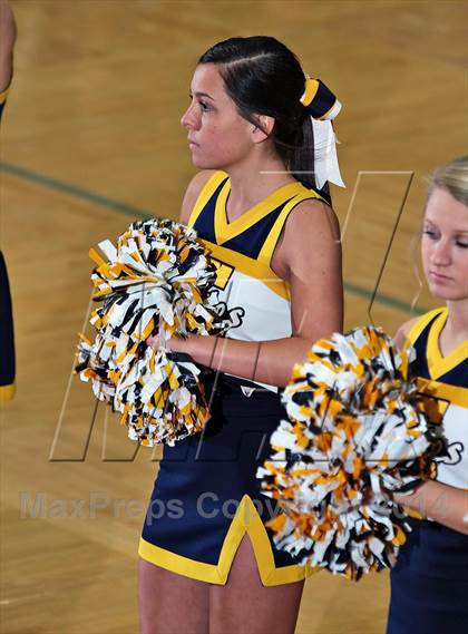 Thumbnail 2 in Seymour @ Sevier County photogallery.