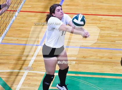Thumbnail 1 in Chalmette @ Newman photogallery.