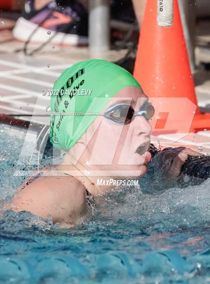 Thumbnail 1 in AIA D2 Swim Finals photogallery.