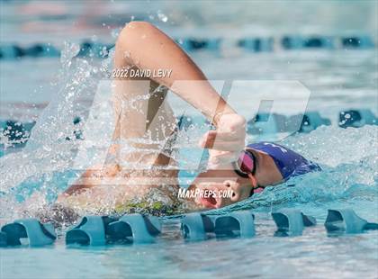 Thumbnail 3 in AIA D2 Swim Finals photogallery.
