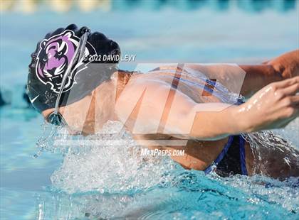 Thumbnail 1 in AIA D2 Swim Finals photogallery.