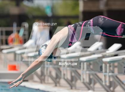 Thumbnail 2 in AIA D2 Swim Finals photogallery.