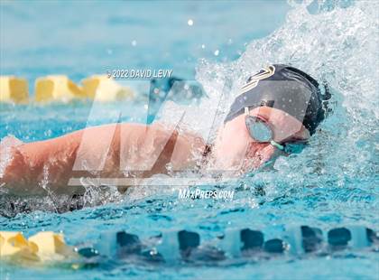 Thumbnail 3 in AIA D2 Swim Finals photogallery.