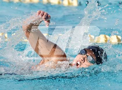 Thumbnail 3 in AIA D2 Swim Finals photogallery.