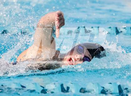 Thumbnail 1 in AIA D2 Swim Finals photogallery.