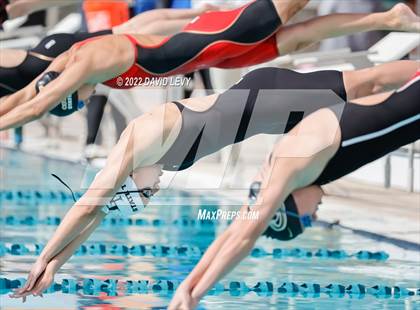 Thumbnail 3 in AIA D2 Swim Finals photogallery.