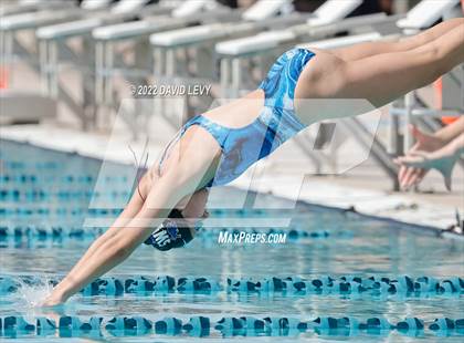 Thumbnail 2 in AIA D2 Swim Finals photogallery.
