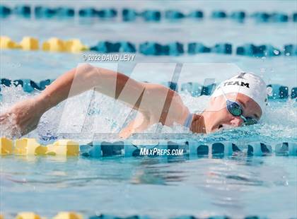 Thumbnail 3 in AIA D2 Swim Finals photogallery.