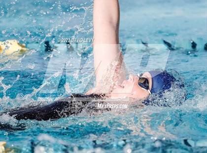 Thumbnail 3 in AIA D2 Swim Finals photogallery.